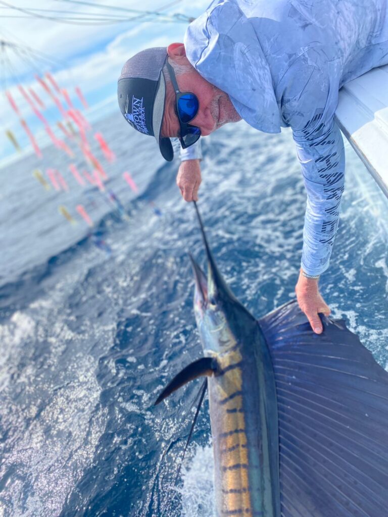 Sailfish