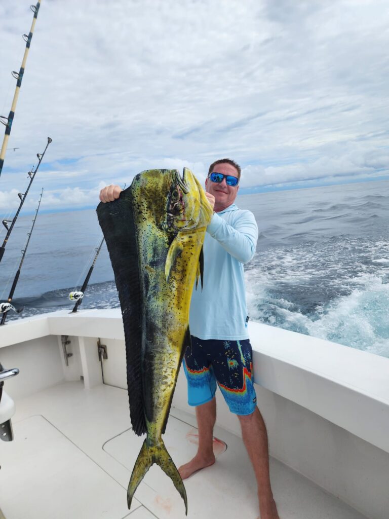 Mahi Mahi - Dorado