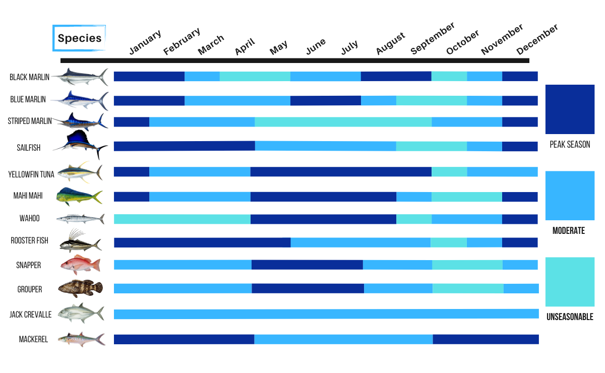 This image is an approximate overview of the seasons for specific fish.